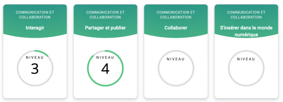 Domaine 2 : Communication et collaboration